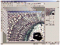 1649862848795350.png 2.png