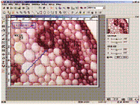 1649862871192205.png 5.png