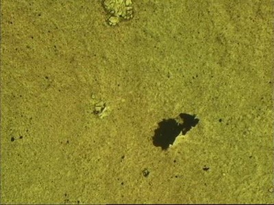 1649863728146561.jpg 1.jpg