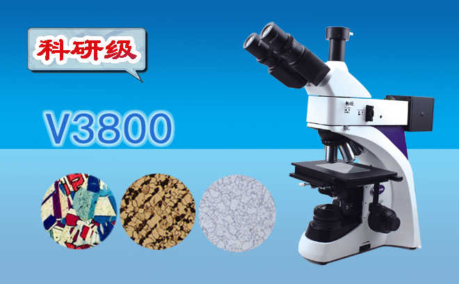 1660792142167785.png 金相91视频下载入口.png