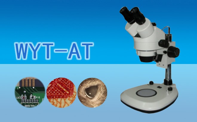 1665554696204891.jpg 體視91视频下载入口1.jpg