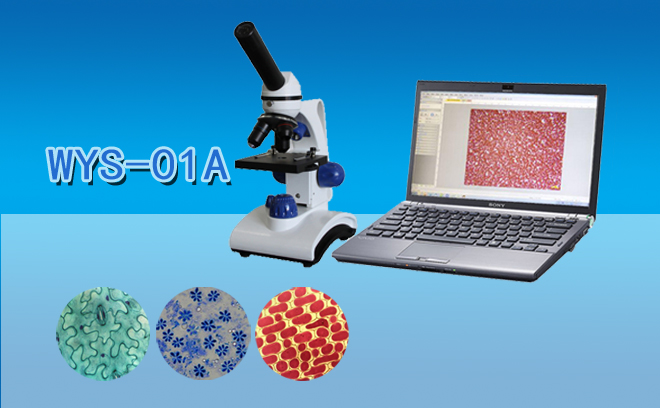 1668586421190988.jpg 學生91视频下载入口.jpg